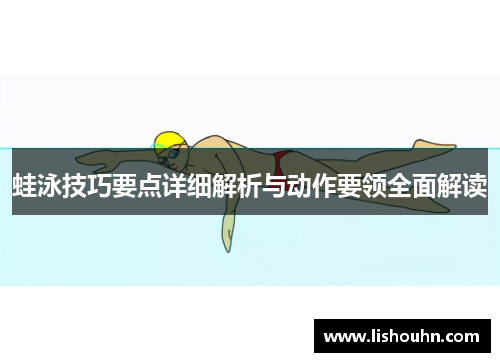 蛙泳技巧要点详细解析与动作要领全面解读